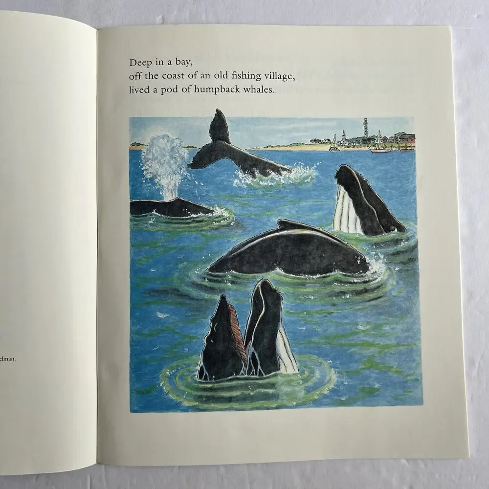 Dolphin Adventure A True Story and Ibis A True Whale Story Set of 2 Books
